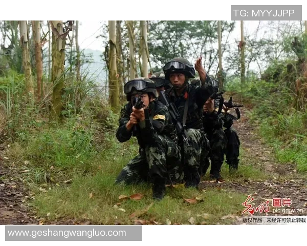 成都攀岩队战术探讨与训练策略的深度分析与分享