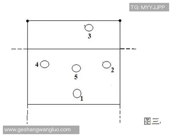 深圳排球队的战术解析与控制能力深度剖析