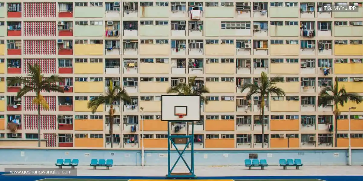 🎾 正品装备，点燃热爱！👟